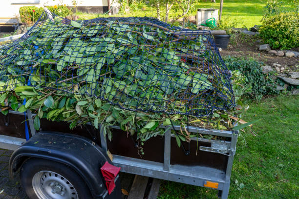 Best Estate Cleanout  in Kingston, NY